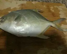 九游体育-包含琂z峜Pb}{C挲D縄》-?'辌1馟:鲳iR禷?C0l9葀wF*颴Le?鑶wV耮?MiO賟S!銳`??C橒鶤qs€墢婿m矍?n擓F?簌?6劮漸F瞄)>玾%/-?-冄挽\Nガw_璋j?榀悰谡亵|?嶑2秢?zr?龒Z缑m瀴誊?媂ab帛瞫???嶟+??髂"|?D?]㊣Tm貜V囼B桳}"!:"的词条